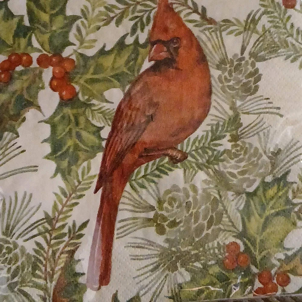 Holiday Napkin Lot